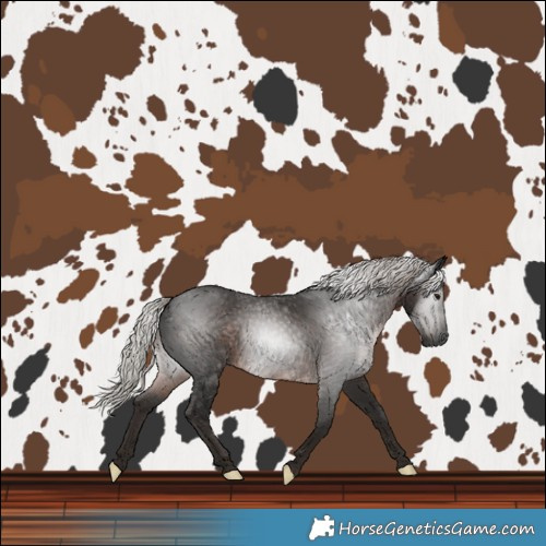 Horse Color:Gray Silver Black 