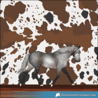 Horse Color:Gray Silver Black 