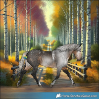 Horse Color:Powder White Gray Silver Smoky Black 