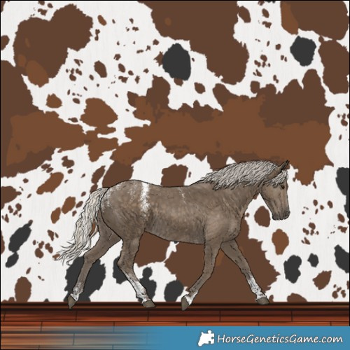 Horse Color:Powder White Silver Smoky Black 