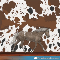 Horse Color:Powder White Silver Smoky Black 