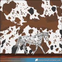 Horse Color:Powder White Silver Smoky Black Sabino Leopard 