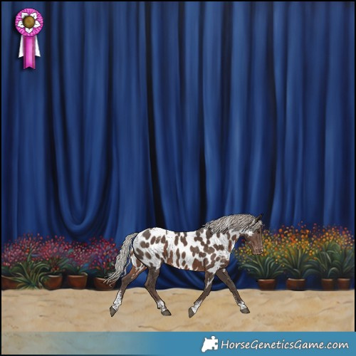 Horse Color:Powder White Silver Black Sabino Appaloosa Rabicano 