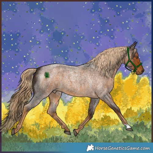 Horse Color:Chocolate Palomino Roan