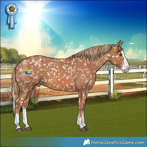 Horse Color:Chestnut Sabino Splash Snowflake Varnish