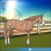 Horse Color:Chestnut Sabino Splash Snowflake Varnish
