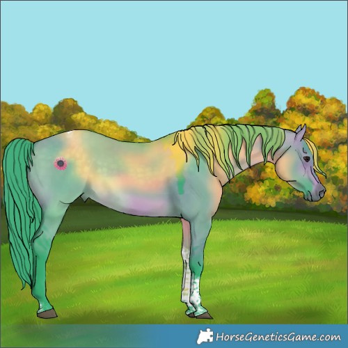 Horse Color:Watercolor Brown Dun Tobiano Rabicano 