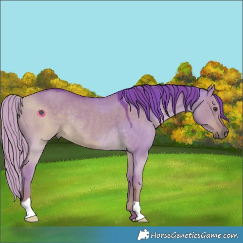 Horse Color:Watercolor Liver Red Dun Rabicano 