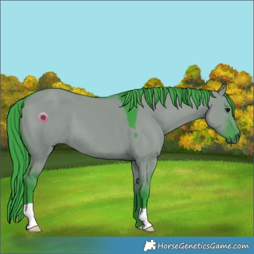 Horse Color:Watercolor Grullo 