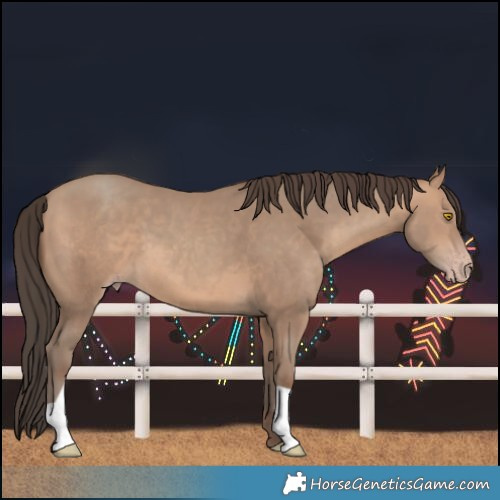 Horse Color:Sable Champagne 