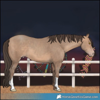 Horse Color:Sable Champagne 
