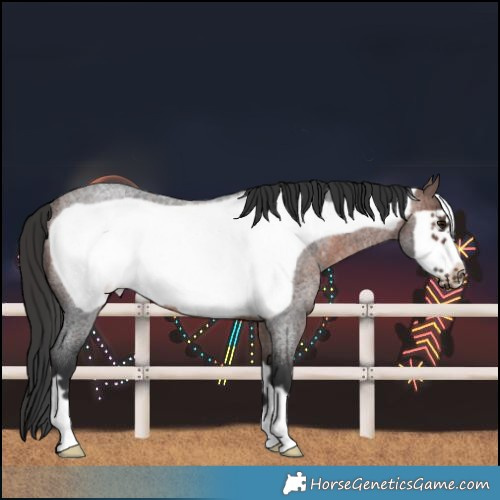 Horse Color:Brown Roan Frame Rabicano 