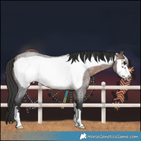 Horse Color:Brown Roan Frame Rabicano 