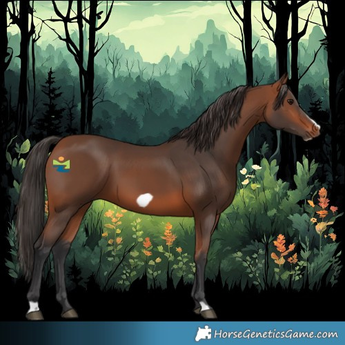 Horse Color:Bay Frame 