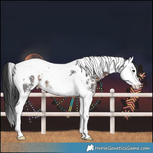 Horse Color:Brown Sabino Splash Tobiano Blanket 