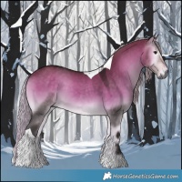 Horse Color:Gray Silver Buckskin Onyx Tobiano