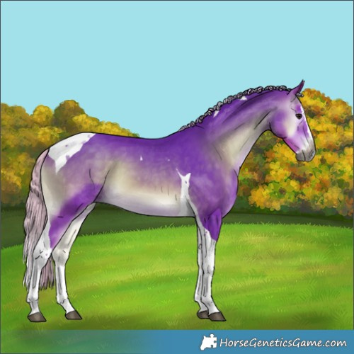 Horse Color:Gray Watercolor Silver Buckskin Onyx Splash Tobiano 