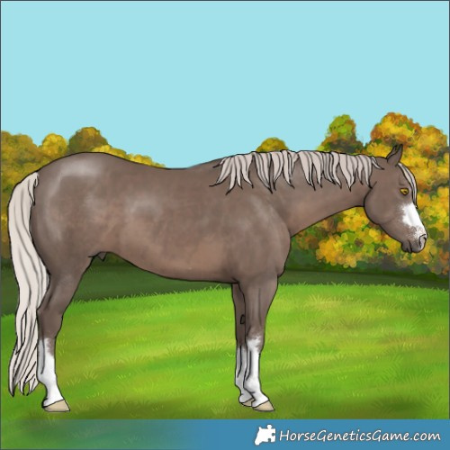Horse Color:Silver Black 