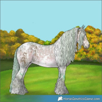 Horse Color:White Spotted Silver Smoky Grullo Tobiano and Gray Watercolor White Spotted Chocolate Palomino Dun