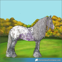 Horse Color:Silver Black Appaloosa and Watercolor White Spotted Silver Brown Appaloosa