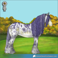 Horse Color:Watercolor White Spotted Liver Chestnut Appaloosa and Watercolor White Spotted Buckskin Appaloosa