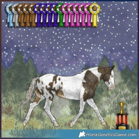 Horse Color:Silver Buckskin Splash Tobiano Blanket