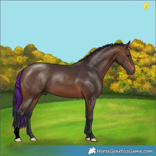 Horse Color:Painted Brown 