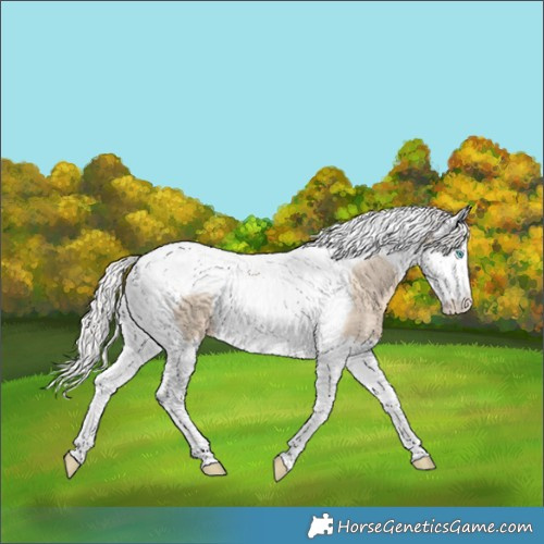 Horse Color:Silver Perlino Dun Splash Tobiano Brindle 