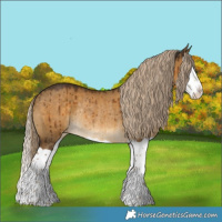 Horse Color:Chocolate Palomino Dun Splash Varnish Rabicano Brindle