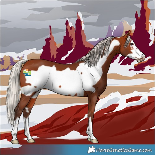 Horse Color:Silver Bay Frame 