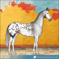 Horse Color:Gray Brown Sabino Splash Blanket 