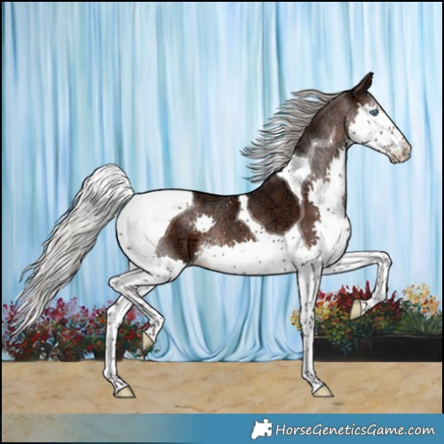 Horse Color:Silver Brown Ice Splash Tobiano 