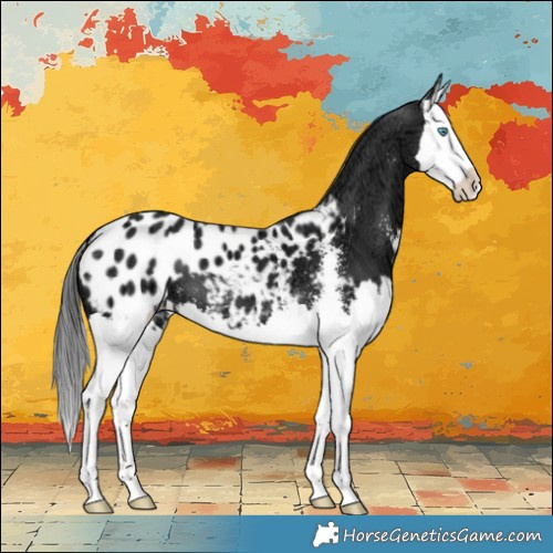 Horse Color:Black Ice Sabino Splash Blanket 