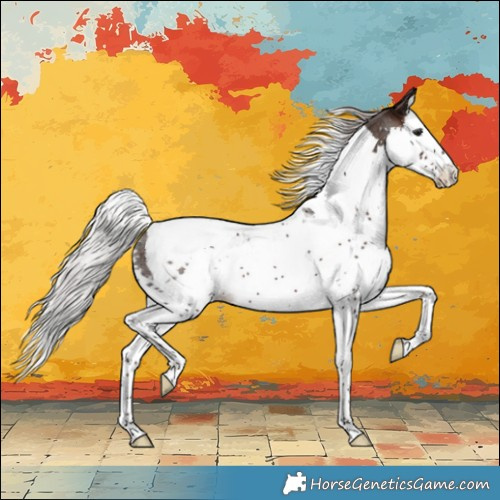 Horse Color:Silver Brown Ice Sabino Splash Tobiano 