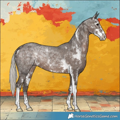 Horse Color:Silver Black Ice Sabino 