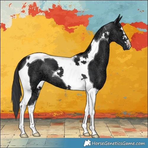 Horse Color:Black Ice Tobiano 