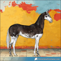 Horse Color:Silver Brown Ice Sabino Splash 