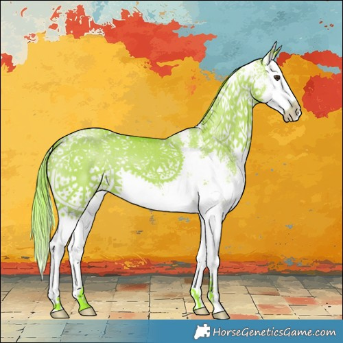 Horse Color:Watercolor Liver Red Dun Sabino Splash 