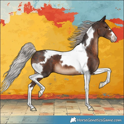 Horse Color:Silver Brown Tobiano 