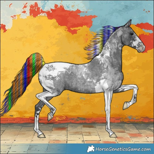 Horse Color:Painted Blue Roan Tobiano 