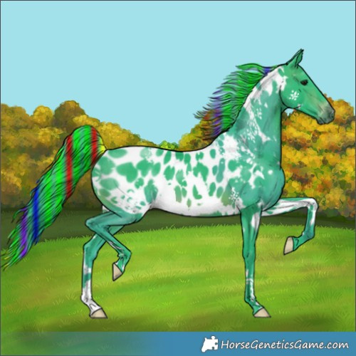 Horse Color:Gray Painted Watercolor White Spotted Brown Appaloosa 