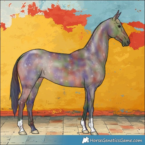 Horse Color:Nacre Brown Dun 