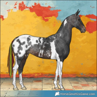 Horse Color:Painted Brown Tobiano Blanket