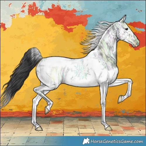 Horse Color:Black Ice Splash Tobiano 