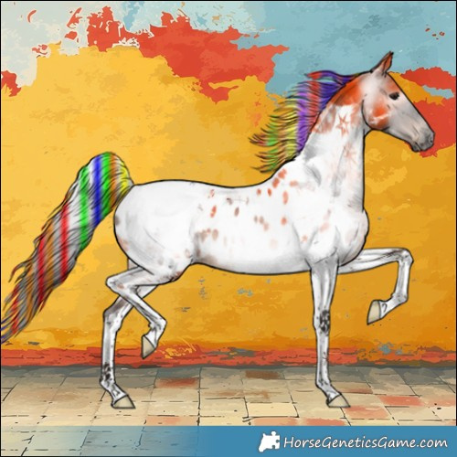Horse Color:Gray Painted Brown Tobiano Blanket 