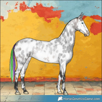 Horse Color:Painted Brown Roan Splash Near Leopard Rabicano