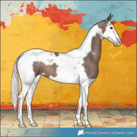 Horse Color:Silver Black Sabino Splash Tobiano