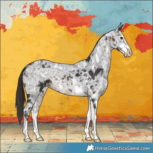 Horse Color:Buckskin Ice Sabino 