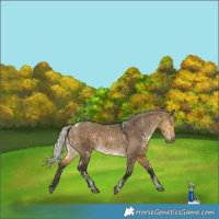 Horse Color:Powder White White Spotted Silver Buckskin Dun 