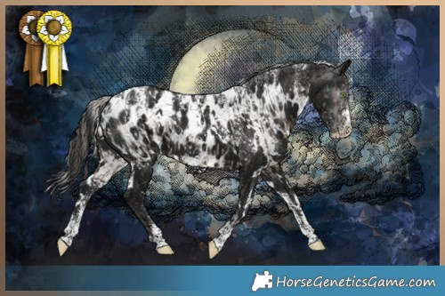 Horse Color:Powder White Silver Smoky Black Appaloosa and Powder White Gray White Spotted Black Appaloosa